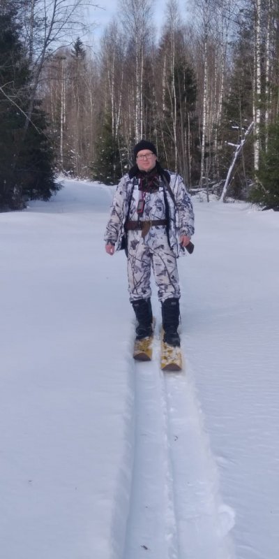 в лесу классно походить