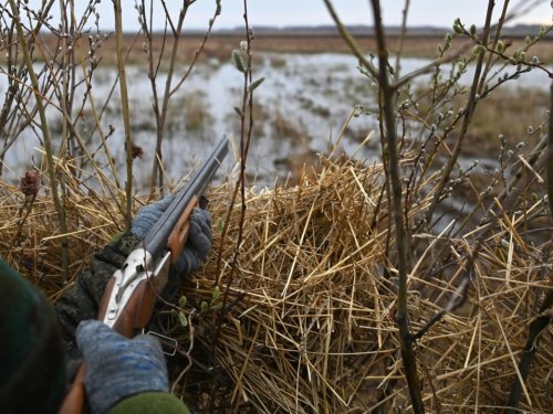 В Томской области 21 марта стартует сезон весенней охоты