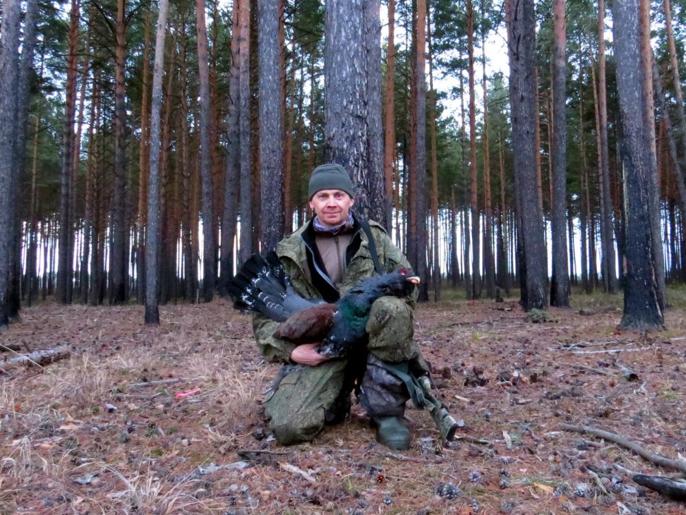 ГЛУХАРЬ НА ТОКУ