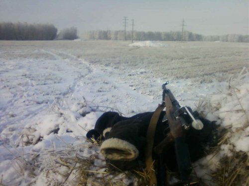 Фото отчет одного зимнего дня охоты на лис .Фото1.