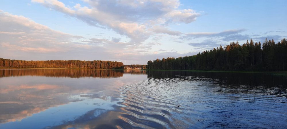 тишина..
