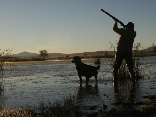 В правительстве не увидели оснований для запрета спортивной охоты