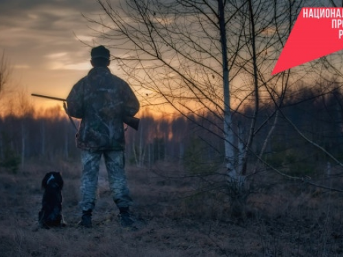 Для новосибирских охотников усовершенствовали мобильное приложение «Моя охота»