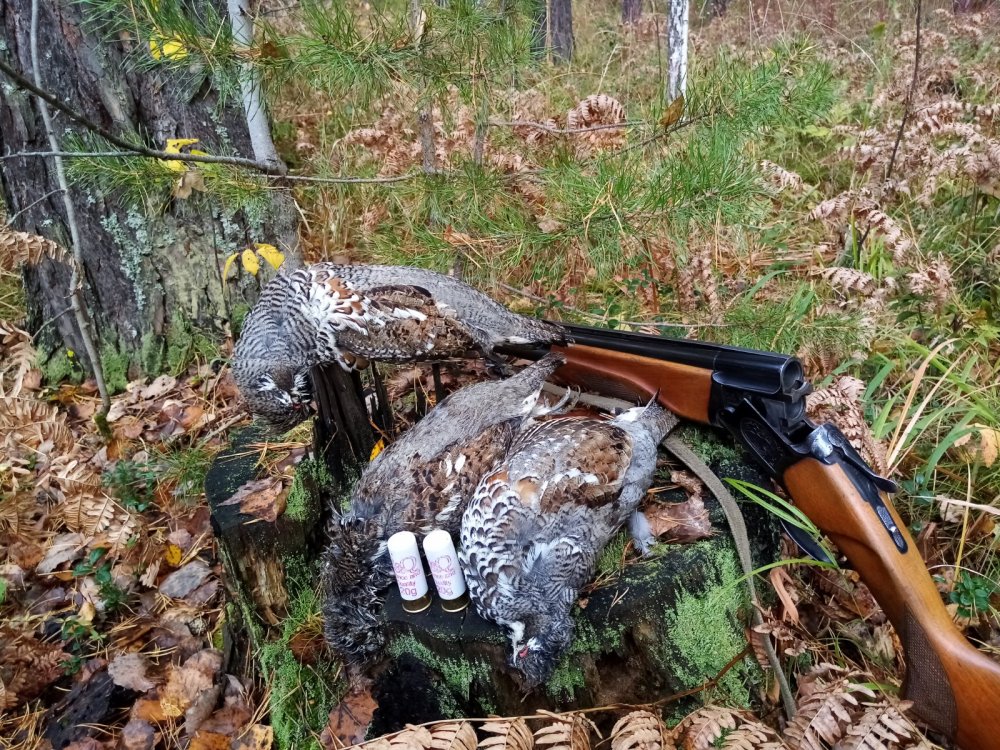 Молчуны)))