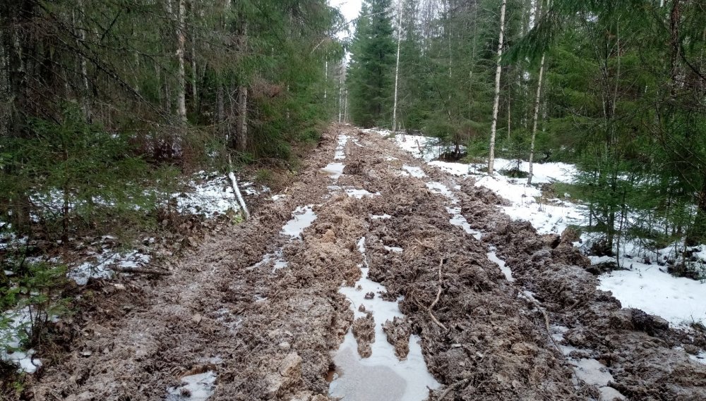 дорогу испоганили