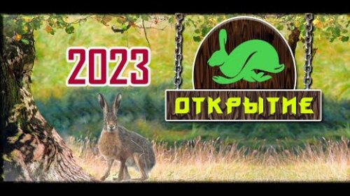 Открытие охоты на зайца-русака 2023