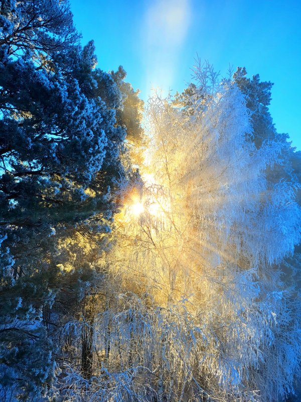 Сибирские пейзажи