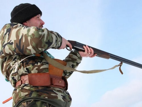 Томские власти ограничат выдачу разрешений на охоту в одни руки