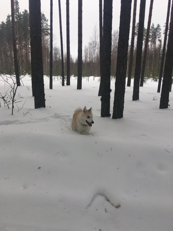 Полный привод...