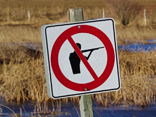 Возможную отмену весенней охоты в Новосибирской области обсудят на общественном совете