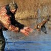 В Кузбассе весенняя охота в 2024 году охота осуществляется в соответствии с установленными параметрами утвержденными постановлением Губернатора