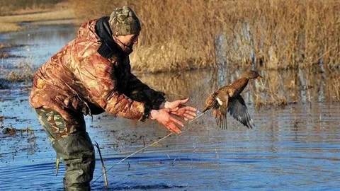 В Кузбассе весенняя охота в 2024 году охота осуществляется в соответствии с установленными параметрами утвержденными постановлением Губернатора