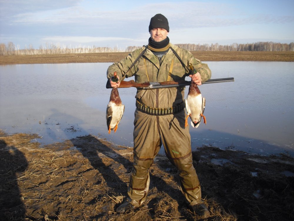 Скромная охота перед уездом.