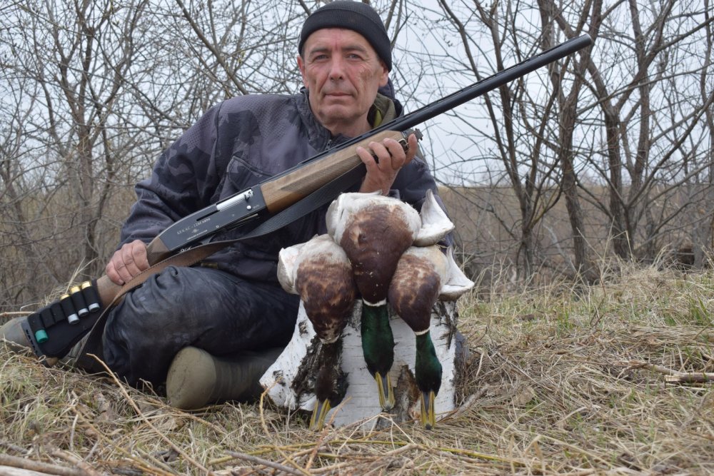Хороши!