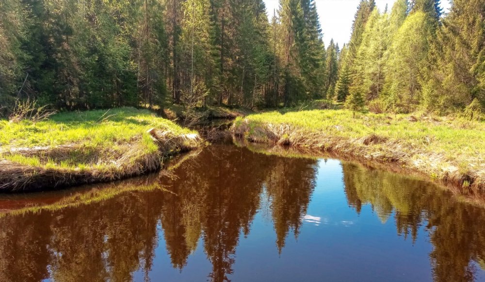 первый день лета