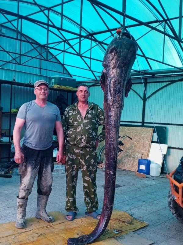 Такого пассажира у нас еще не было