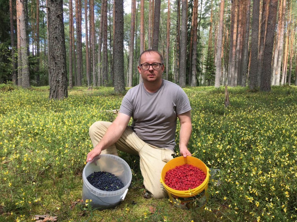 Дары леса...