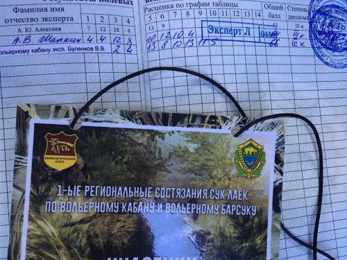 успеваем везде...секач был Офигенный