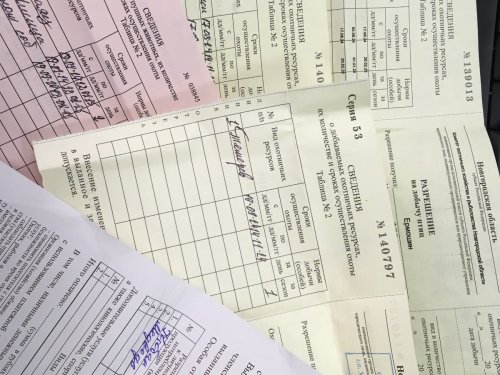 Собачке работы:)