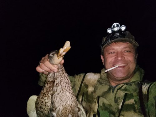 Достал все таки .