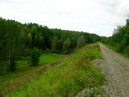 Осенний глухарь.