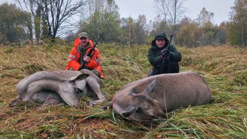 Охота на лося и ОЛЕНЯ.