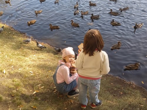 Городской водоем в октябре.
