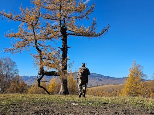 В глазах уже двоится