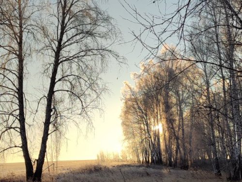 Почему не сидится дома