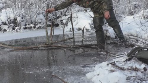 Как поймать бобра. Первый лед.