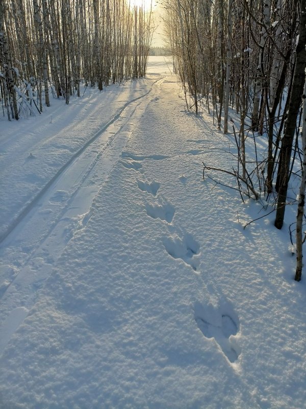 Плутишка спалился