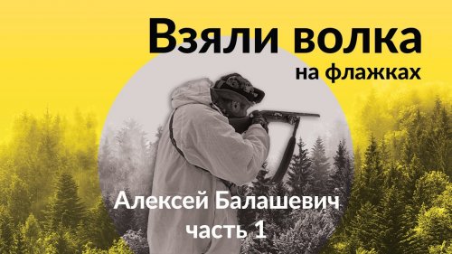 Взяли волка на флажках, часть 1