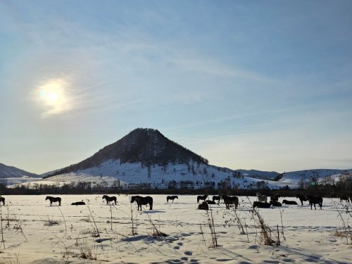 Алтайский Арарат