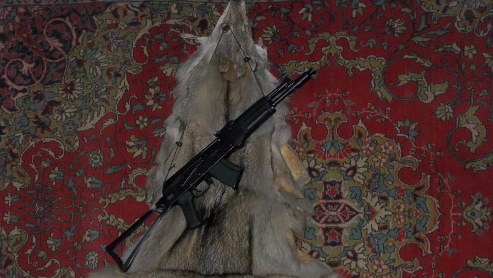 была волчица...ну очень продвинутая.