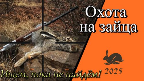 Охота на зайца 2025