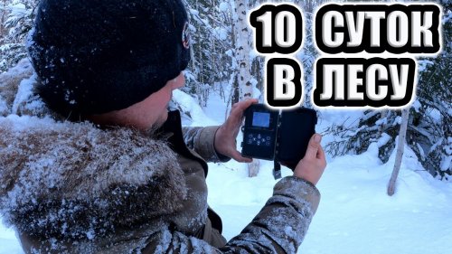 Тайга варяг 550 polaris widetrak lx таежные приключения