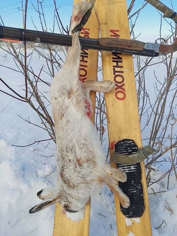 Восьмой.