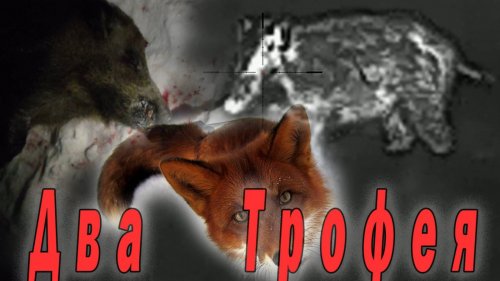 Две добычи за вечер. Супер выстрел