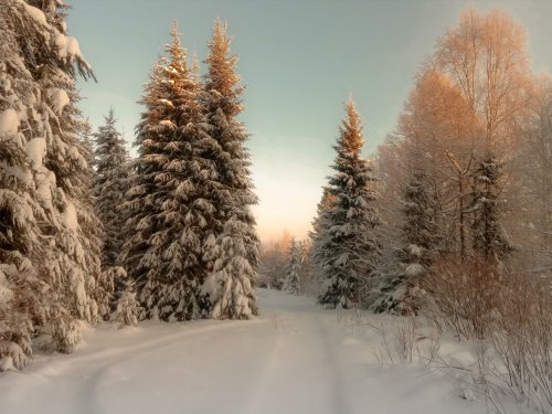 снежный день