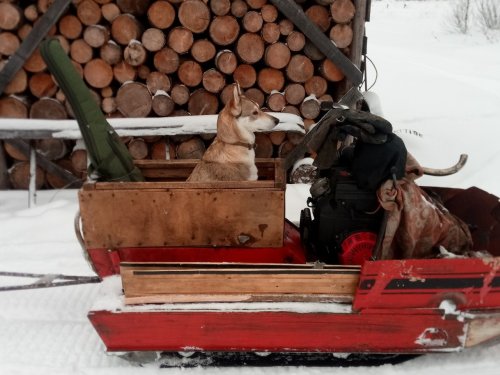 в дальний путь