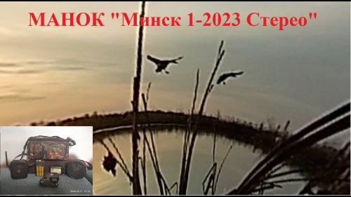 Охота на селезней, манок Минск 1 2023 СТЕРЕО