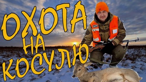 Коллективная охота на косулю / Ночуем в деревенской МТМ / Охота на Алтае