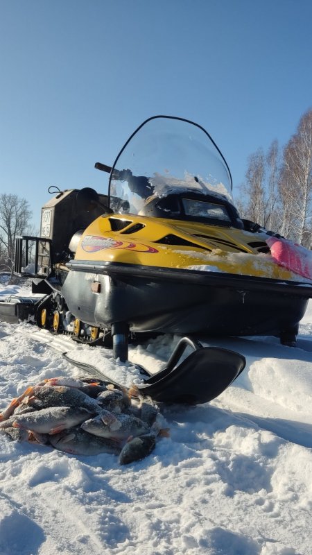 Еще один день по окуню