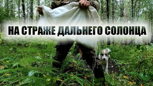 Будни охотника . СОЛОНЦЫ
