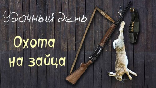 Мгновение для выстрела. Охота на зайца 2025