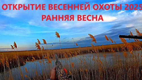 Открытие весенней охоты 2025. Утки, Гуси, первые тровеи)