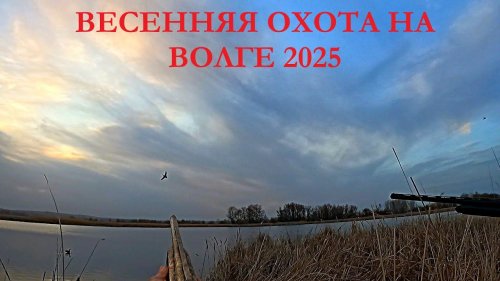 ВЕЧЁРКА НА ВОЛГЕ. ОТКРЫТИЕ ОХОТЫ СЕВЕРНОЙ ЗОНЫ В САРАТОВСКОЙ ОБЛАСТИ. УТКИ АТАКУЮТ / MAX HUNTER