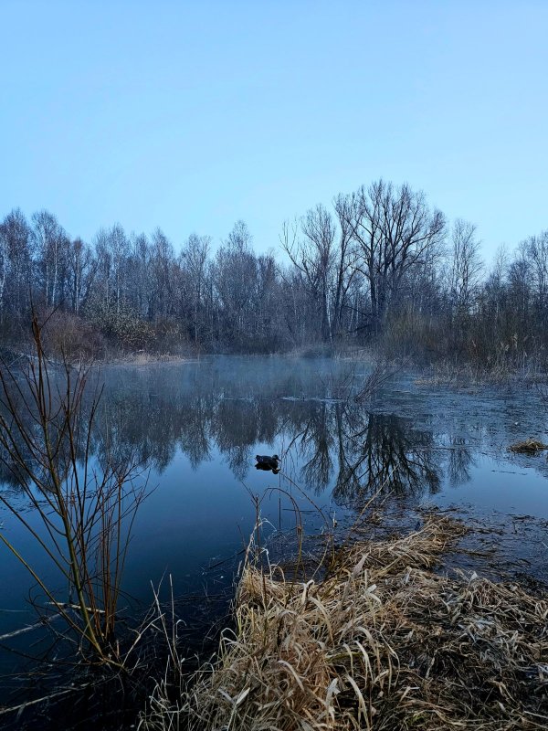 Весенние зарисовки