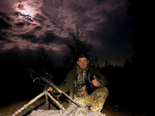 Очередной волк в копилку трофеев