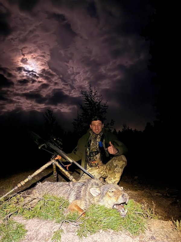 Очередной волк в копилку трофеев